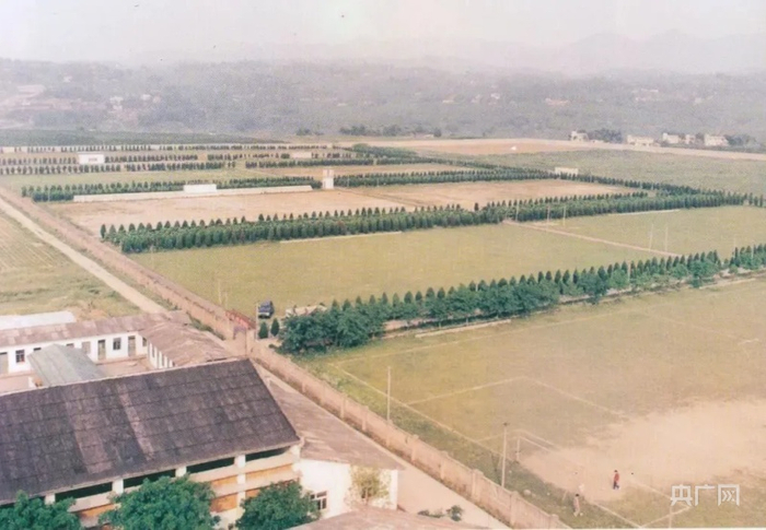 广阳坝国家体育训练基地原貌（央广网发 广阳岛绿色发展有限责任公司供图）