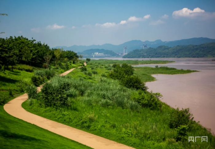 环岛183滨江步道（央广网发 陆纲摄）