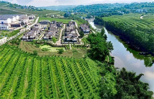 渝北区大盛青龙村  姜智勇 摄