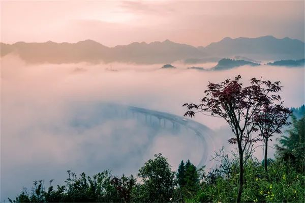 渝北区周家山  姜智勇 摄