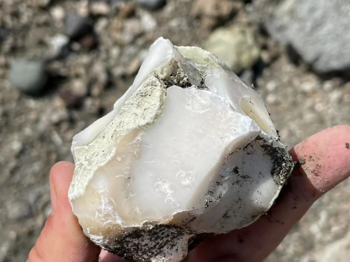 　　尖锐石片核心部分被切掉了，很有可能是能人的杰作。|图片来源：Nick Longrich via The Conversation