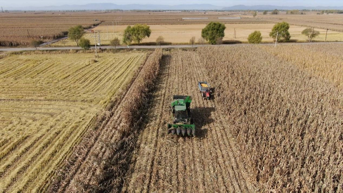 将秋整地同步推进。汤原县委宣传部 供图
