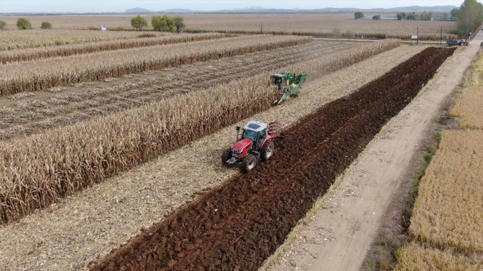 收割机与旋耕机完美配合。汤原县委宣传部 供图