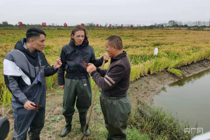 Artem、Lucien向虾稻共生养殖人员了解情况（央广网发 王锡斐摄）