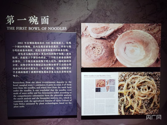 喇家遗址出土的世界第一碗面条（央广网发 张海东摄）