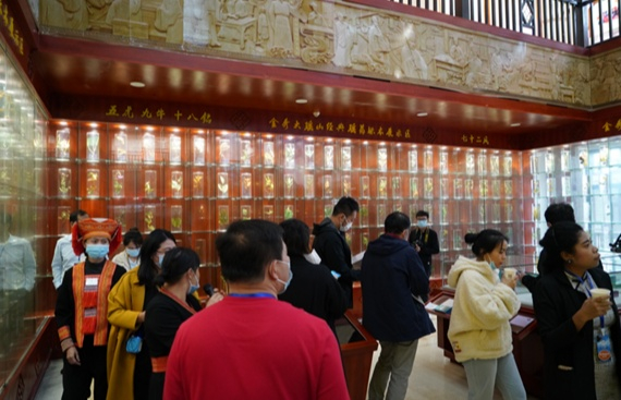 在桂外国专家在金秀瑶族自治县瑶医医院康养中心草药标本区参观（央广网发 陆鸿丁摄）