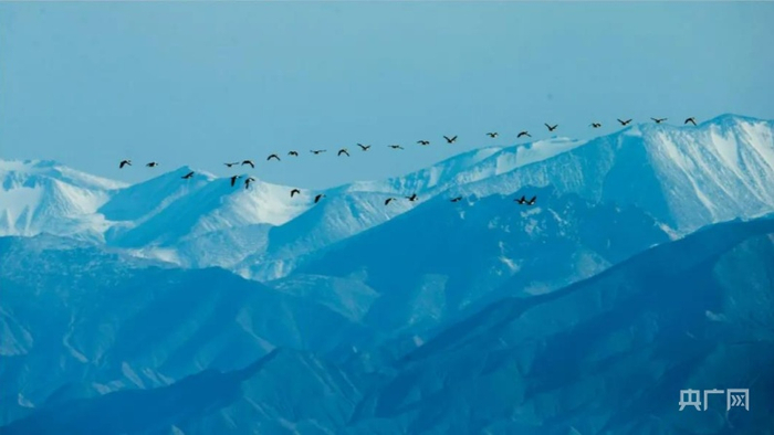 雄伟的昆仑山 （央广网发 唐拓华摄）