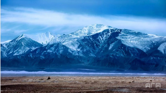 昆仑山下，水草丰美。（央广网发 唐拓华摄） 