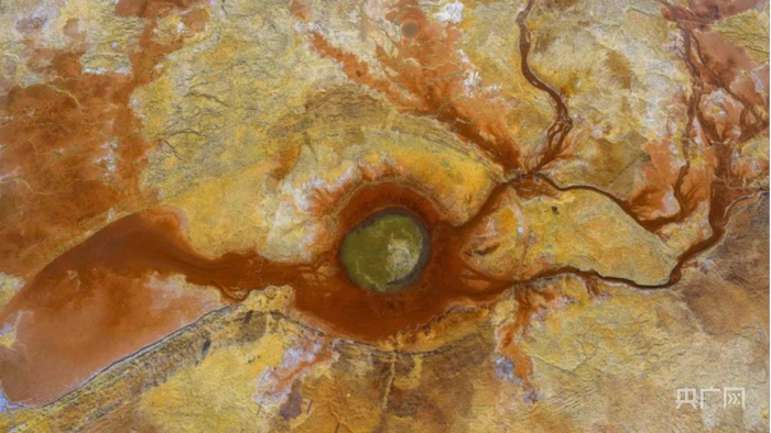 艾肯泉 （央广网 唐拓华摄）