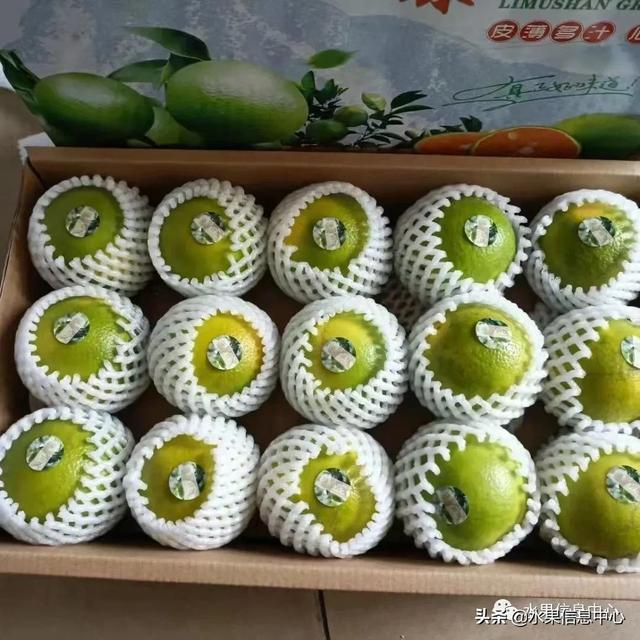 赣南脐橙、崀山脐橙、秭归脐橙……全国橙子产地大pk