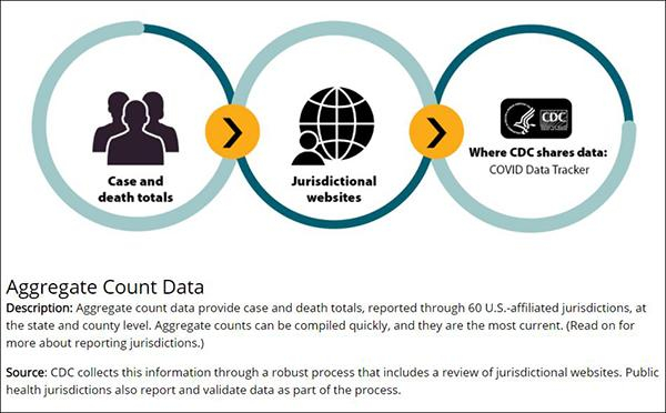 CDC分别展示了其数据报告各过程的示意图并配上解释 截图自CDC网站 
