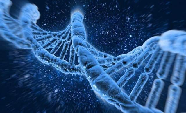 “造物主”存在的证据被发现?科学家:不可能来自自然进化!|DNA|宇宙|生物|人类|神学_新浪新闻