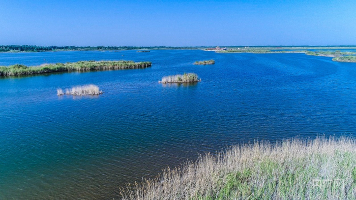 墨玉县拉里昆国家湿地公园里的碧水蓝天。央广网发