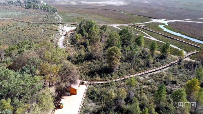 莎车县结合地理优势打造的观光木栈道。阿力木江摄央广网发