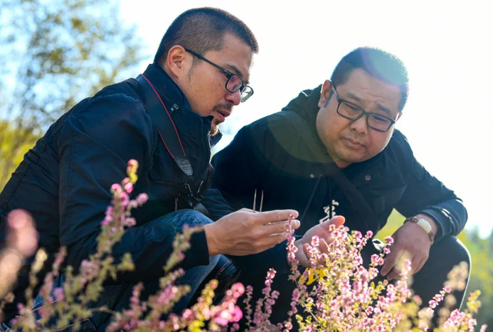 在乌鲁木齐一处山体上，杨宗宗（左）和雷一鸣在采集散枝梯翅蓬标本（10月10日摄）。新华社记者 王菲 摄
