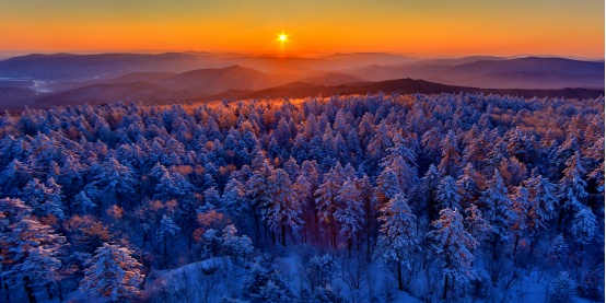 伊春大箐山冰雪森林。