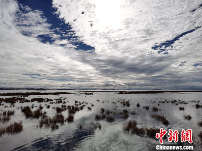 花湖湿地 中新网记者 张尼 摄