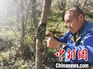 目前完成了和顺全县域第一批70台红外相机安装工作。　和顺县融媒体中心供图