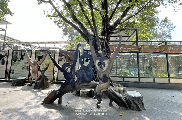 长臂猿展区的合影装置