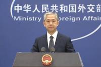 汪文斌回应吴钊燮窜访计划:将采取正当和必要措施