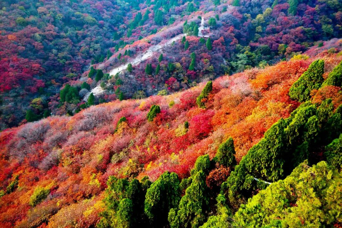 新华社记者郭绪雷摄