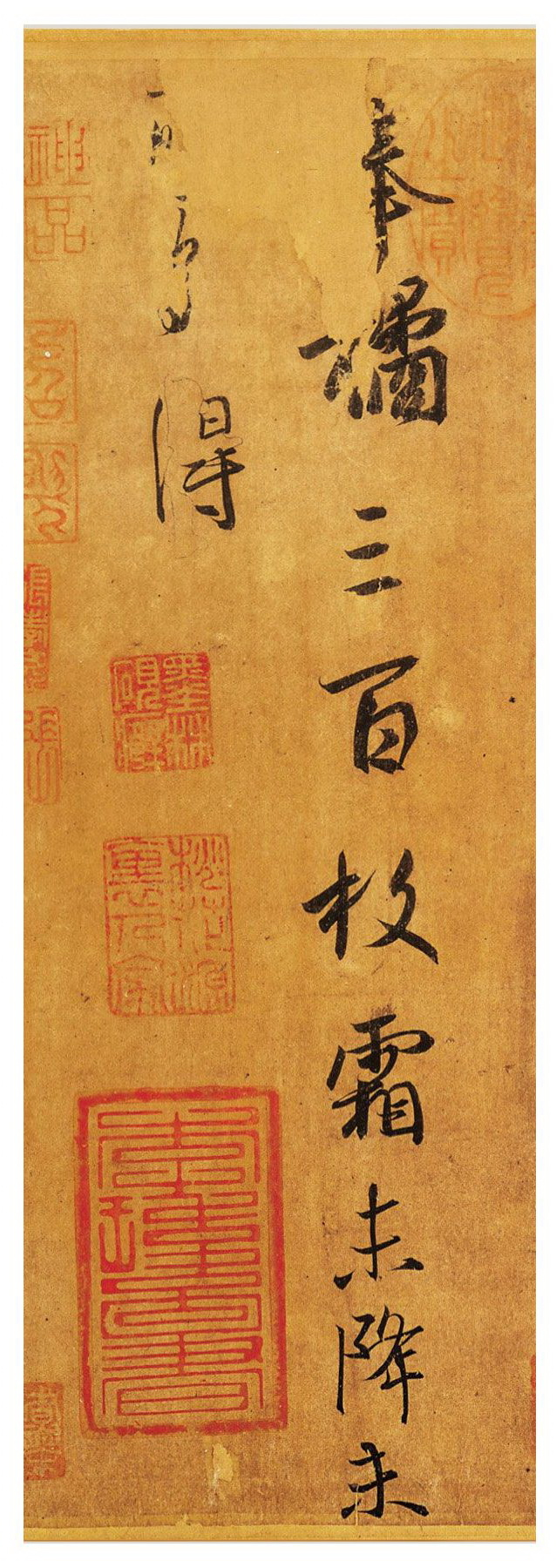 东晋王羲之《奉橘帖》