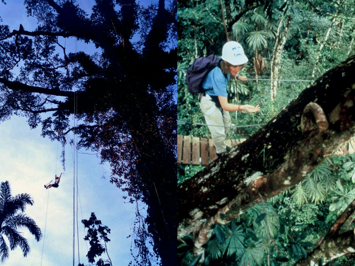 爬树高手玛格丽特·罗曼在爬树时留影