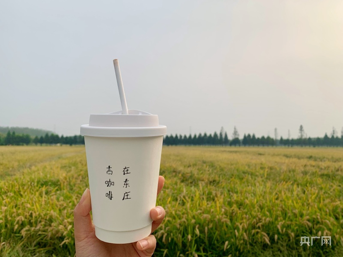 农田里的咖啡馆（央广网实习记者 郭振丹 摄）