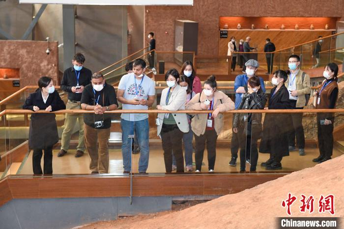 在湘外国人参观谭家坡龙窑遗址。　杨华峰 摄