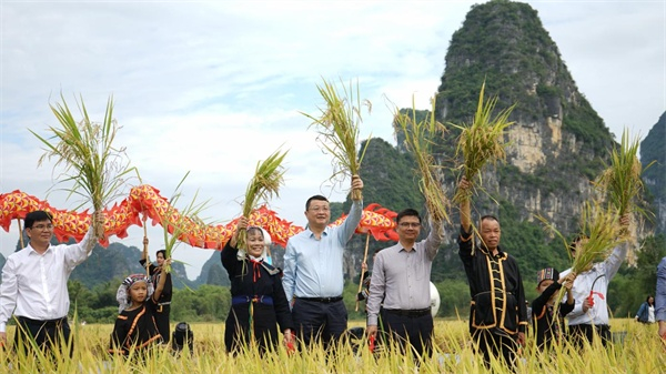 丰收节启动仪式（央广网发 陶君艳摄）