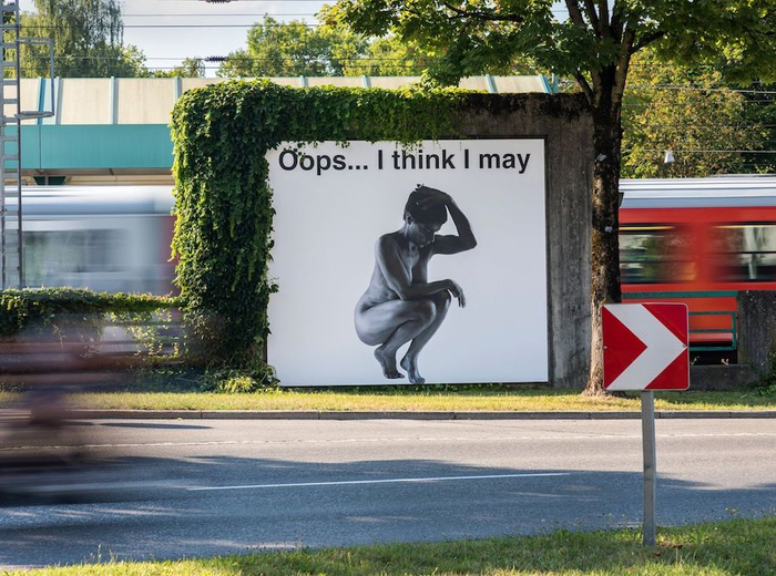 莉莉·雷诺-德瓦尔作品