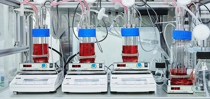 图片来源：IntergriCulture