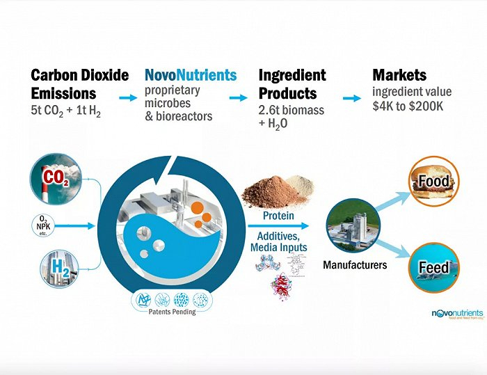 图片来源：NovoNutrients
