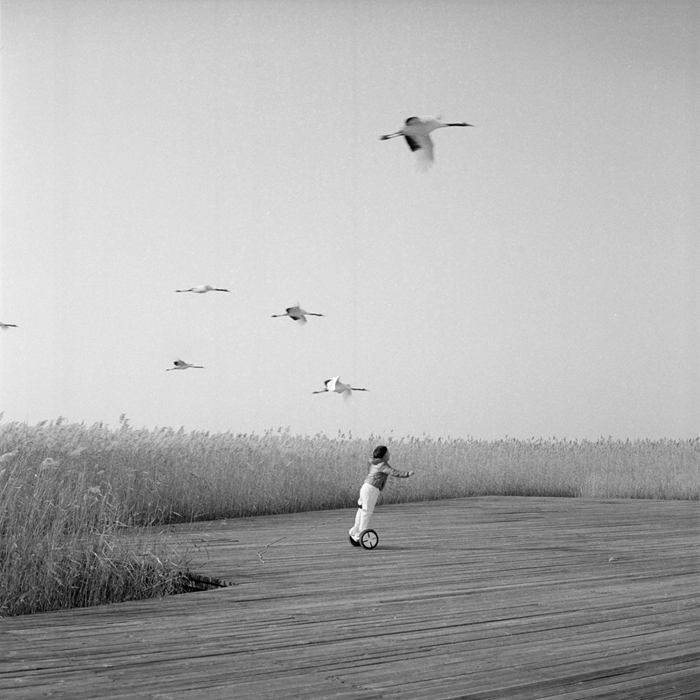 儿童与飞鹤 齐齐哈尔 Fly with the Cranes 2019