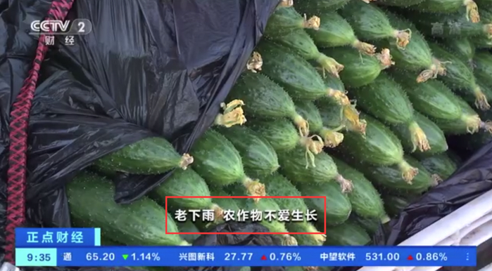 图片来源：央视财经视频截图