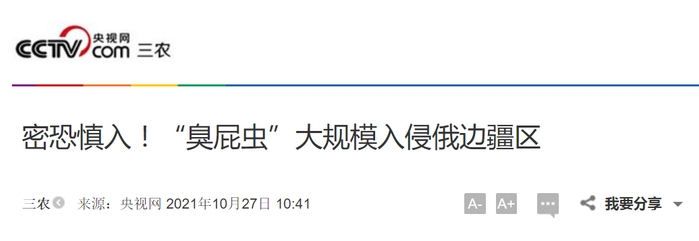 央视网 报道截图