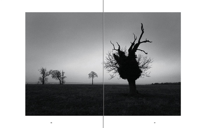 罗杰·迪金斯作品