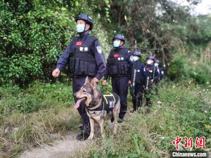 民警携警犬开展边境巡逻。　陈梓东 摄