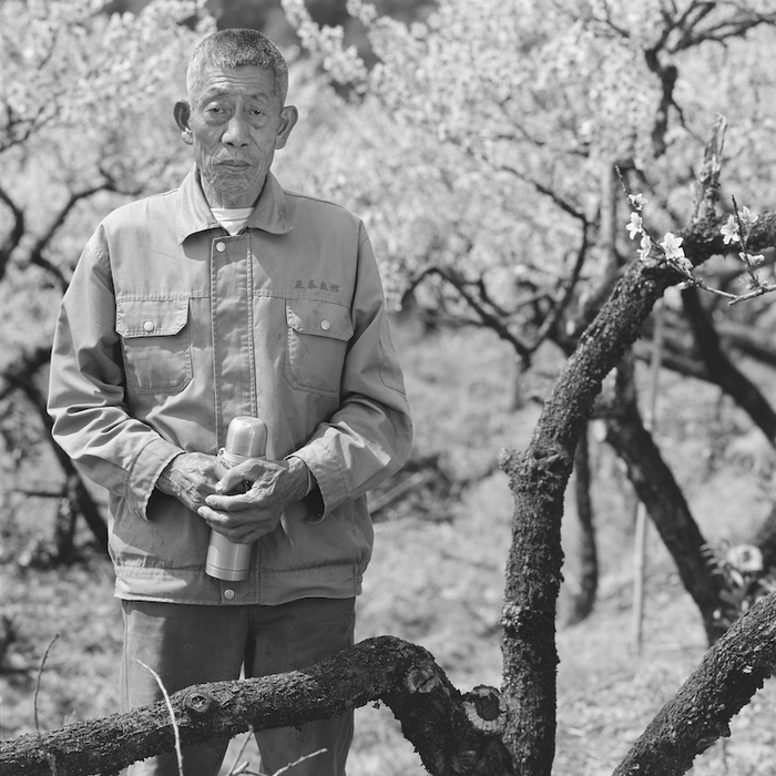 浙江省金华施光南故居农民