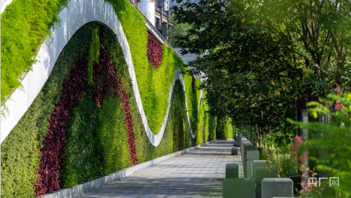 九龙滩街景（央广网发 林同棪国际供图）