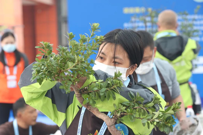 比赛现场  杨永权 摄