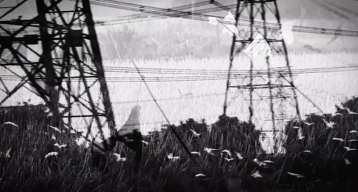 摄影师王梓梣的作品《群鸟》     “去田野!艺术驻地计划” 图