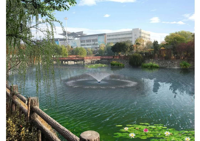 宿州市主城区黑臭水综合整治工程（南塘治理后）