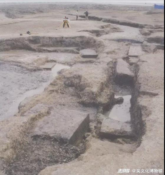 澄湖遗址发现的崧泽时期水稻田，图源张铁军，《中国文化遗产》2004年创刊号，P71