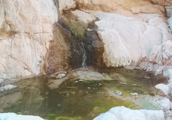 2006年夏天的悬泉