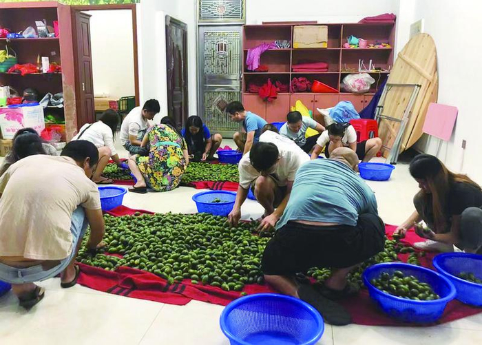 10月10日晚，四叔槟榔批发店，街头小贩们在此挑选槟榔。新京报记者 杜寒三 摄