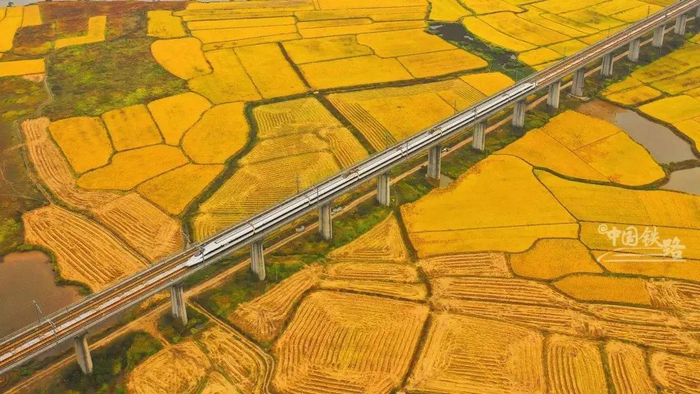 沪昆高铁上飞驰的动车（中国铁路供图 丁波 摄）