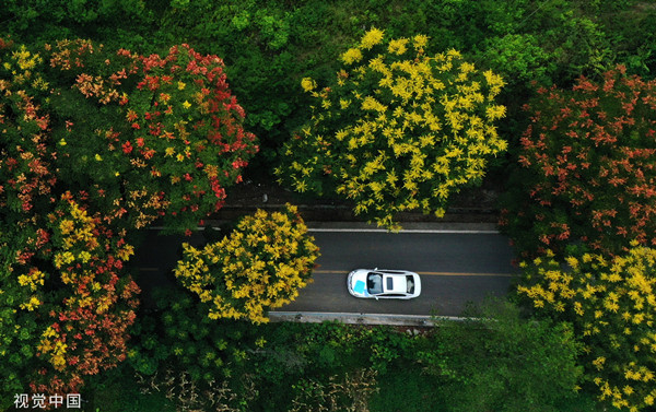 （图片来源：CFP，央广网发）