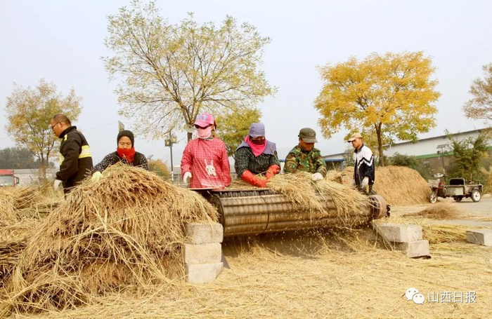 ▲又是一年丰收季。