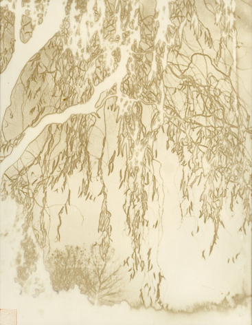 张充仁，树，1930 年代，银盐纸基，印章